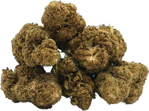OG Kush de Mama Kana