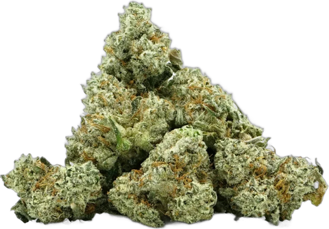 Gorilla Glue d'Okiweed