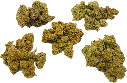 Cinq petits tas de fleurs CBD du pack découverte High Society