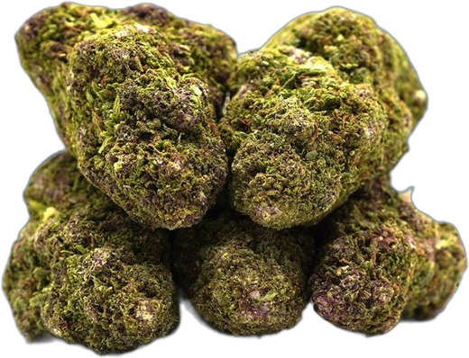 Têtes de Northern Lights CBD Mama Kana, d'un vert clair