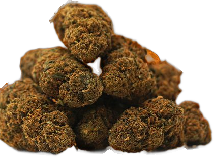 Têtes d'Orange Bud CBD Mama Kana