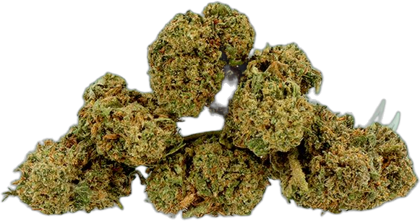 Petites têtes d'Amnesia CBD Mama Kana