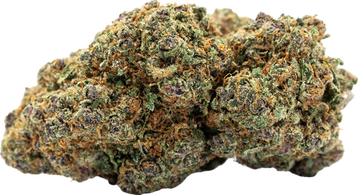 Tête de Blue Dream CBD Okiweed aux reflets sombres