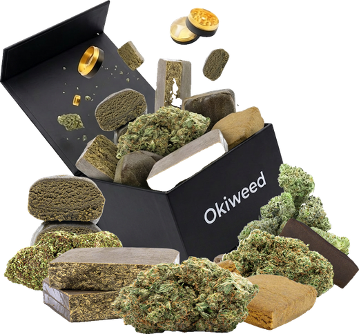 Coffret Okiweed ouvert d'où sortent des fleurs et des blocs de résine CBD