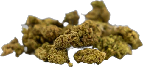 Silver Haze Small Buds de La Ferme du CBD