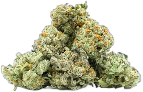Peach Ringz Small Buds d'Okiweed