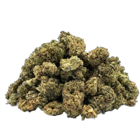 Small Buds 19 % d'Okiweed