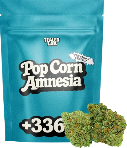 Pop Corn Amnesia de TealerLab