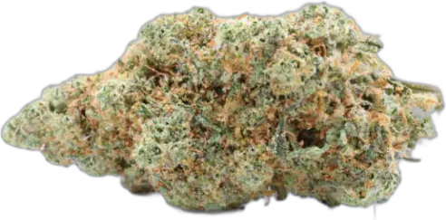 Tête de Lemon Haze Stormrock, vert clair