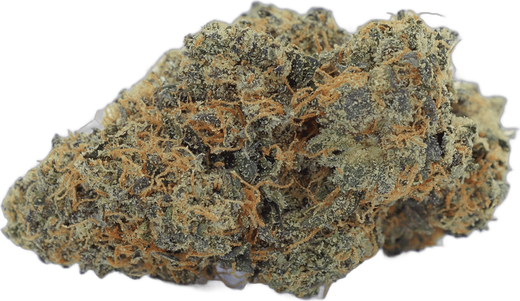 Tête de fleur Orangello Kush Stormrock, dense, aux pistils orange